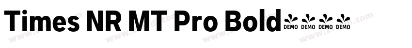 Times NR MT Pro Bold字体转换